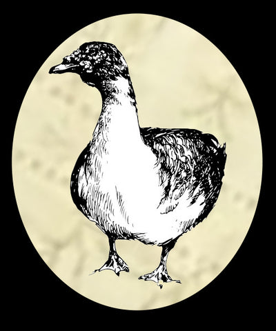 The Ugly Duck Emporium